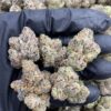 G45 Strain