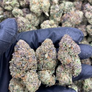 White Rolex Strain