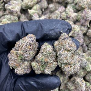 Zuban Poison Strain